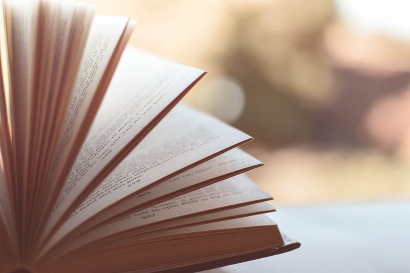 Time Travel Books